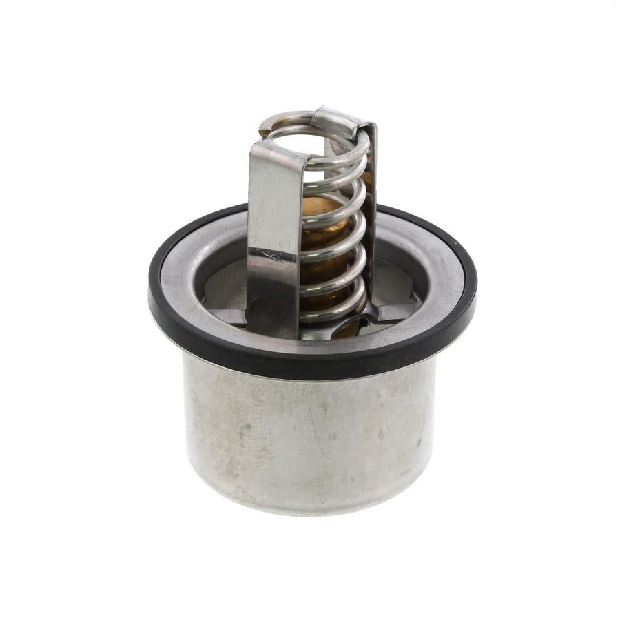 681828 Detroit Thermostat