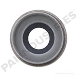 692001 Detroit Valve Seal | PAI