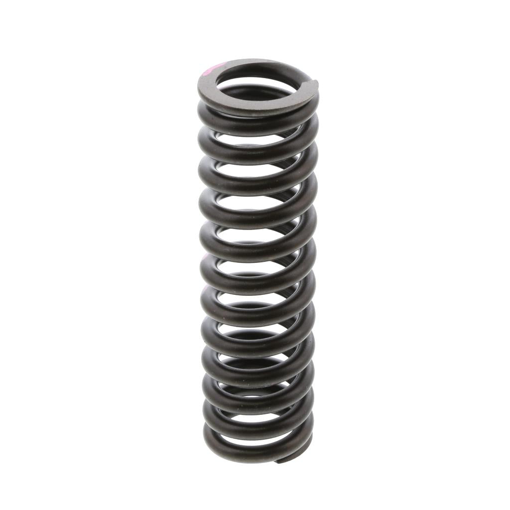 INTAKE VALVE SPRING