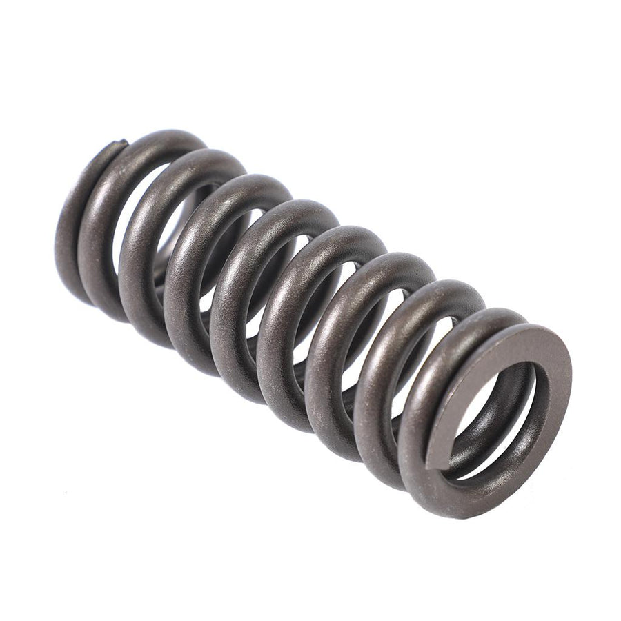 692010 Detroit Valve Spring