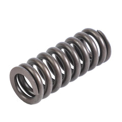 VALVE SPRING