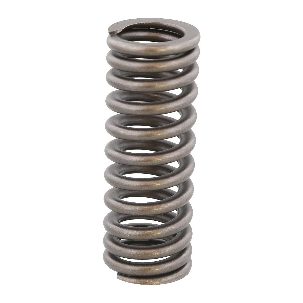 VALVE SPRING