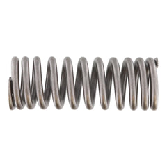 VALVE SPRING