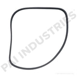 Freightliner SERPETINE BELT