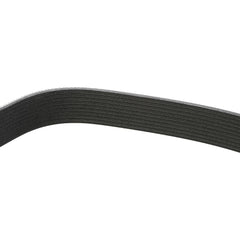 Freightliner SERPETINE BELT
