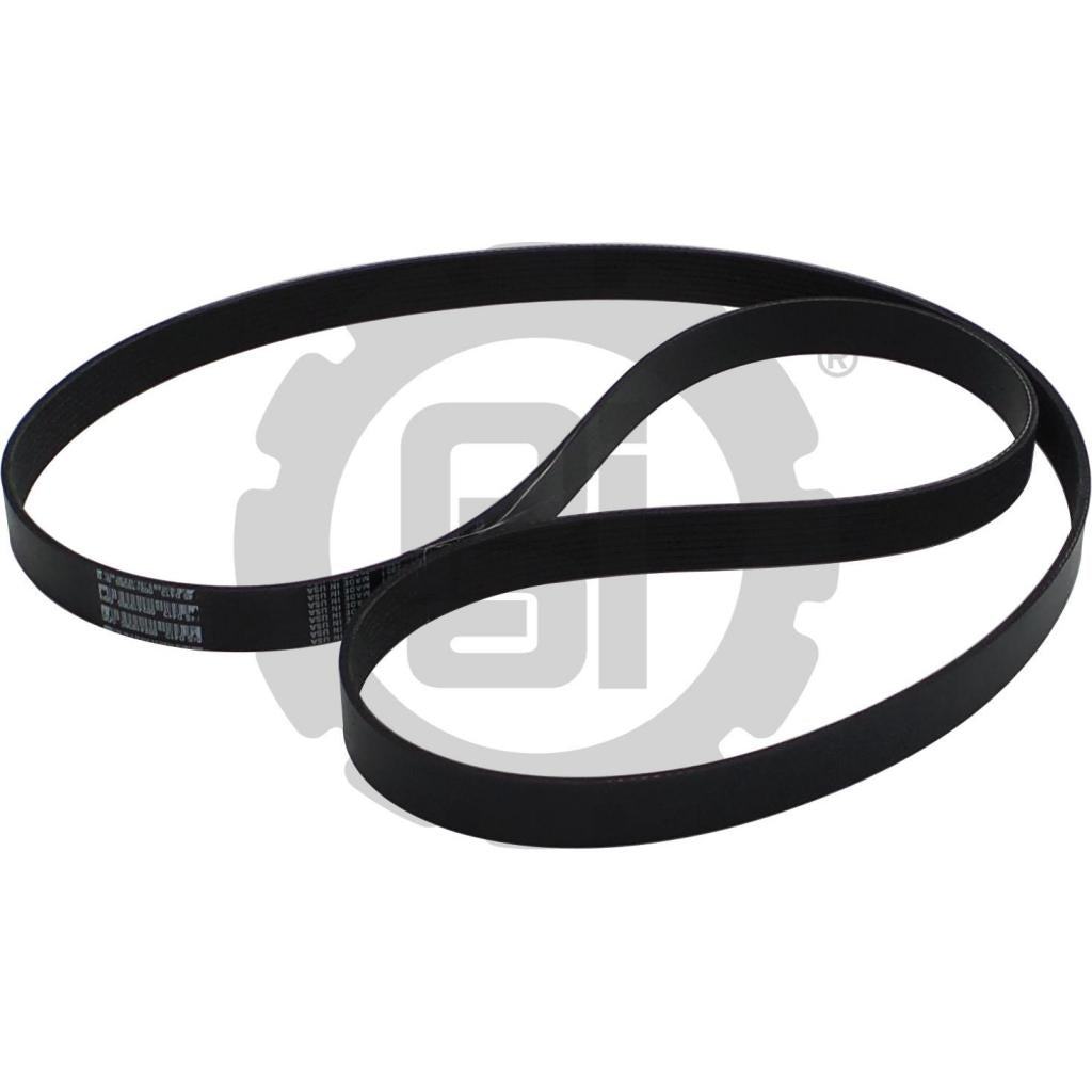 SERPENTINE BELT