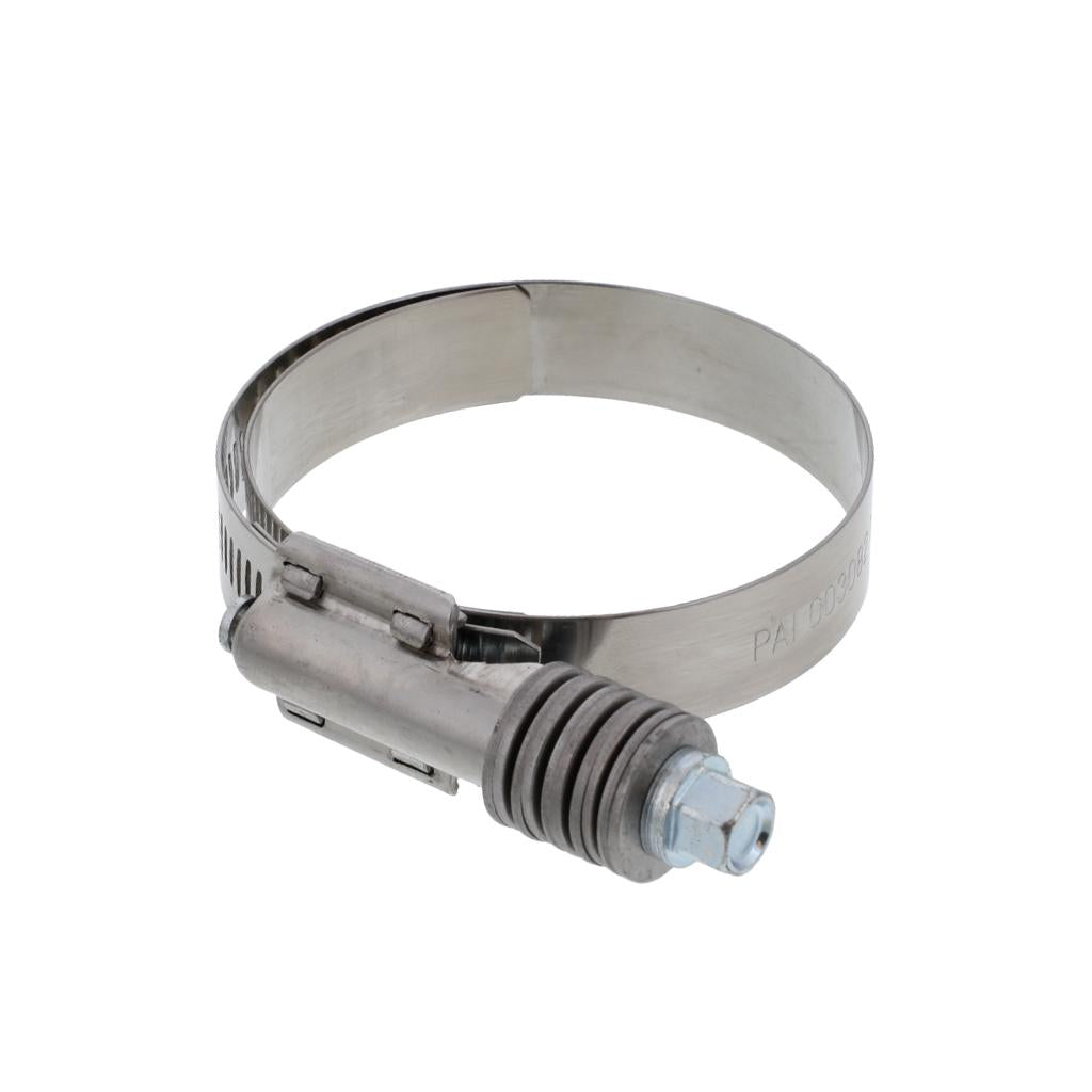 EGR COOLER HOSE CLAMP