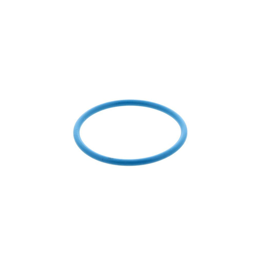 821027 INJECTOR O-RING (Pack of 6)