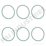 O-RING