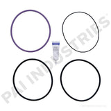 861613 Mack Liner Kit | PAI