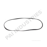 880866 Mack Belt Serpentine | PAI