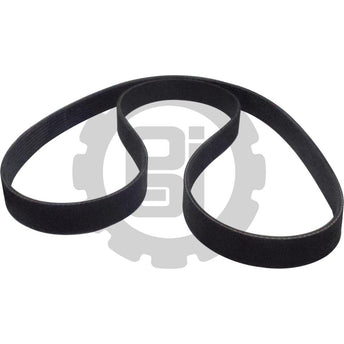 880868 Mack Belt Serpentine | PAI