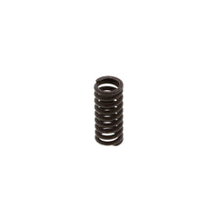 Fuller DETENT SPRING (Pack of 5)