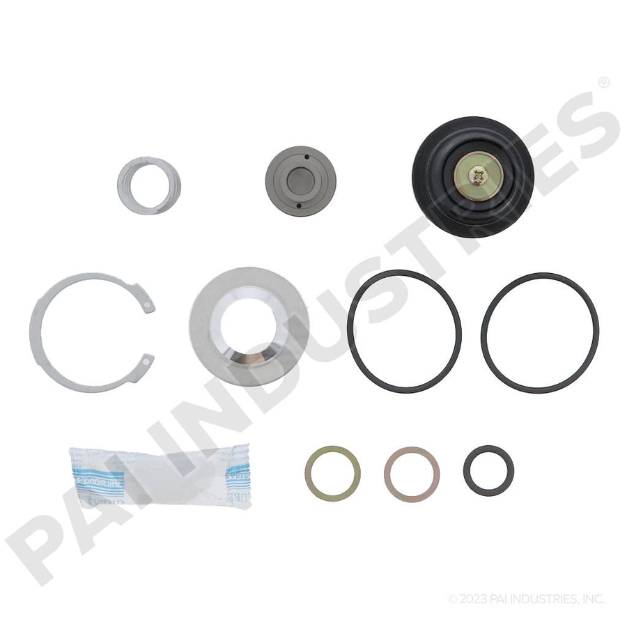 PURGE VALVE KIT