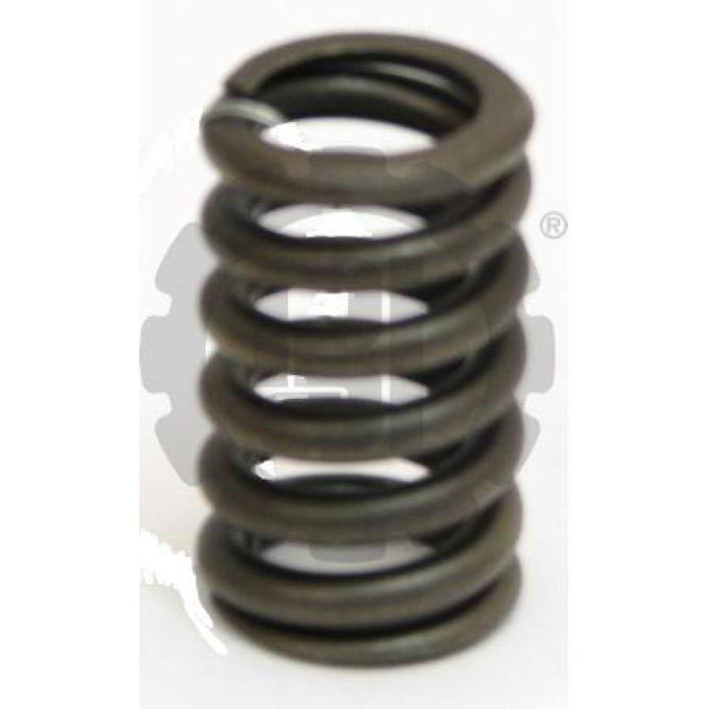 ASSIST SPRING
