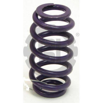 960011 Mack Pressure Spring | PAI
