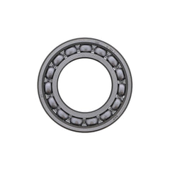INTERAXLE BEARING