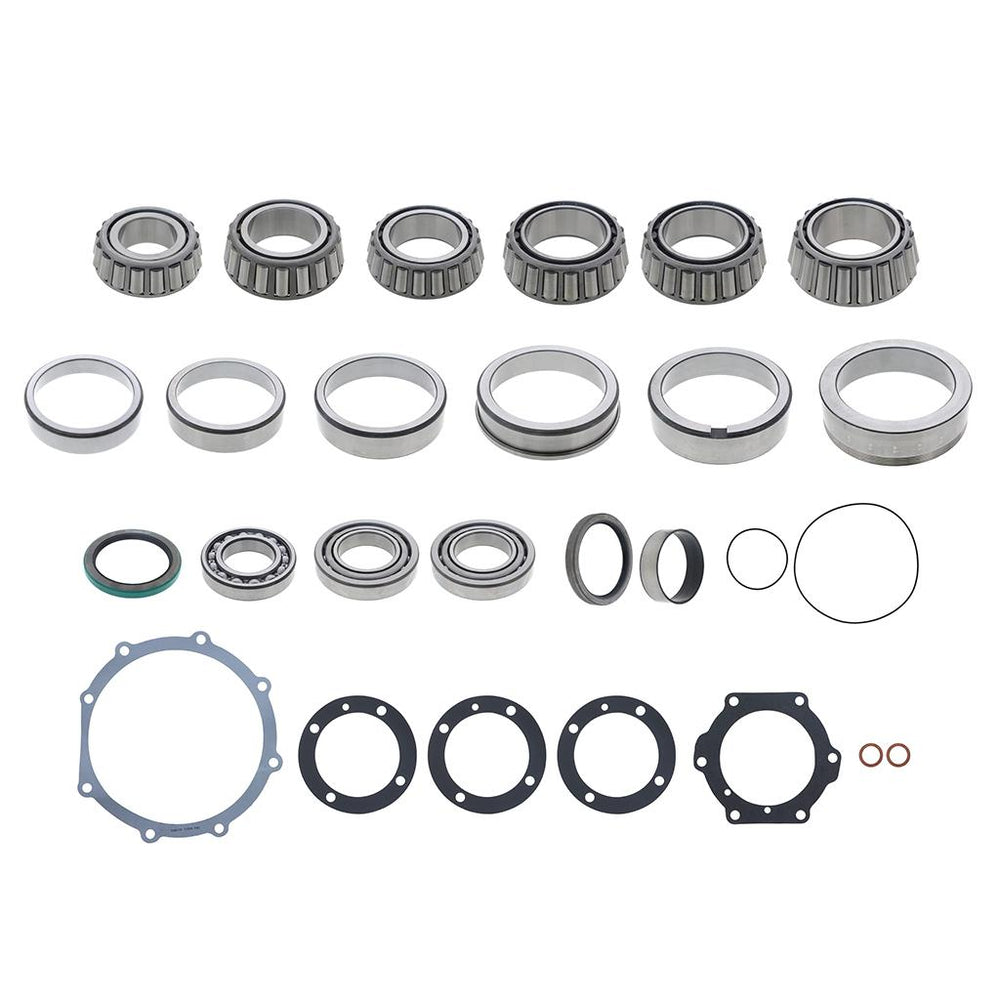 BEARING AND SEAL KIT