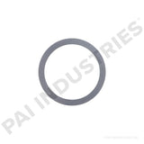 BSP-1061-015 Mack Shim | PAI