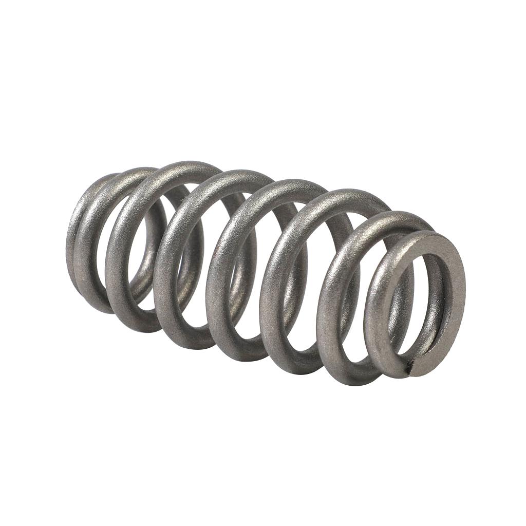 Dana PRESSURE SPRING
