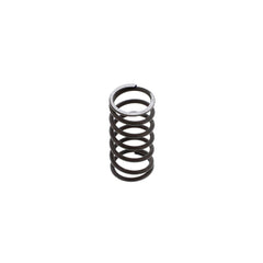 DISCHARGE VALVE SPRING