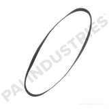 EBT-8776-555 Mack Serpentine Belt | PAI