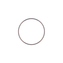 CAM BEARING