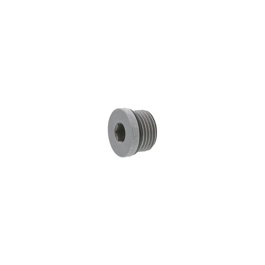 Cat / Caterpillar PLUG