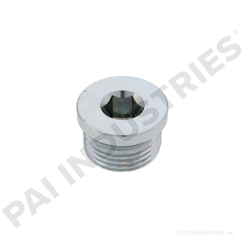 PIPE PLUG