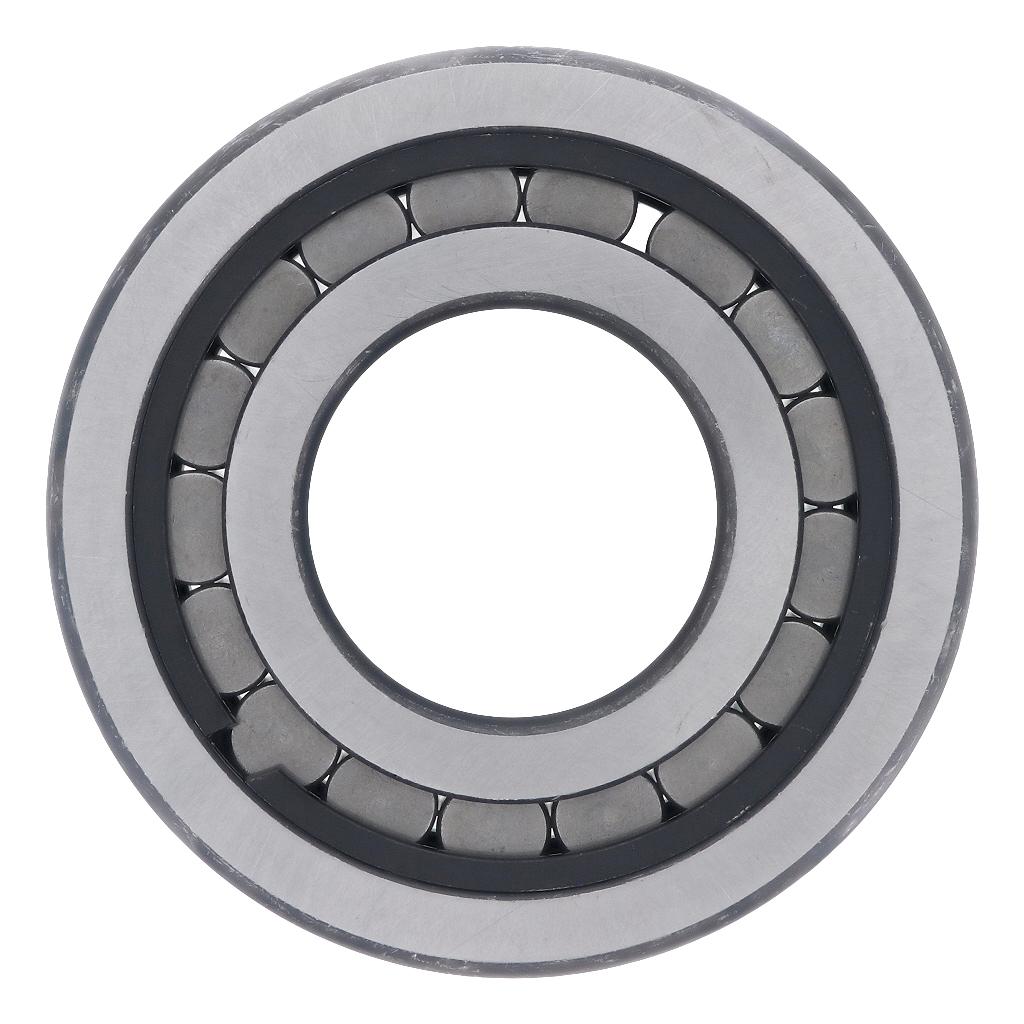 EF75530 International / Navistar G340S DIFFERENTIAL BEARING
