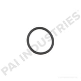 EGS-3895-009 Mack O-Ring | PAI