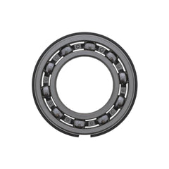 Mack MAIN DRIVE BEARING