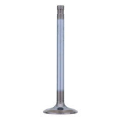INTAKE VALVE (Pack of 2)