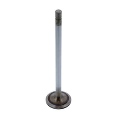 INTAKE VALVE (Pack of 2)