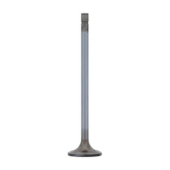 INTAKE VALVE (Pack of 2)