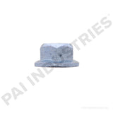 ENU-0285 International Nut | PAI