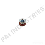 PIPE PLUG
