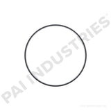 ERG-3769 International Wear Ring | PAI