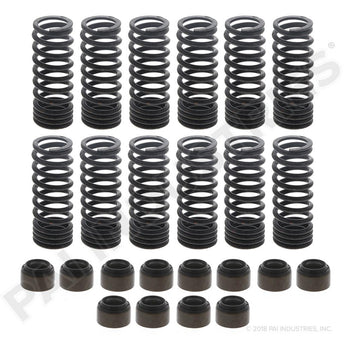 ESK-8951 Mack Spring And Seal Kit | PAI