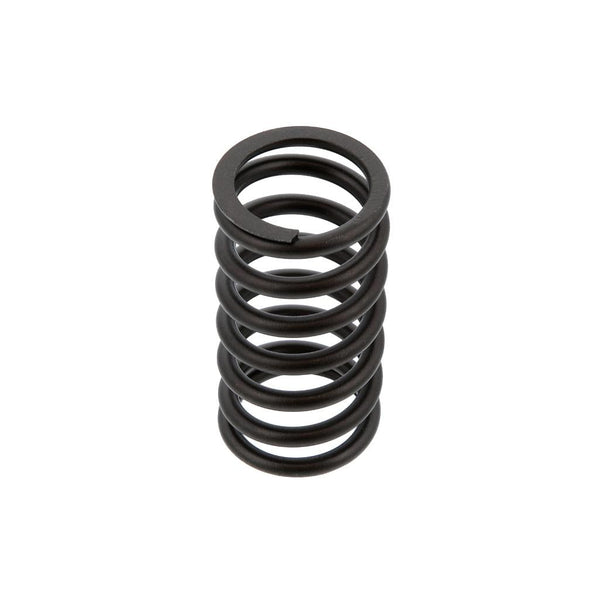 Mack VALVE SPRING