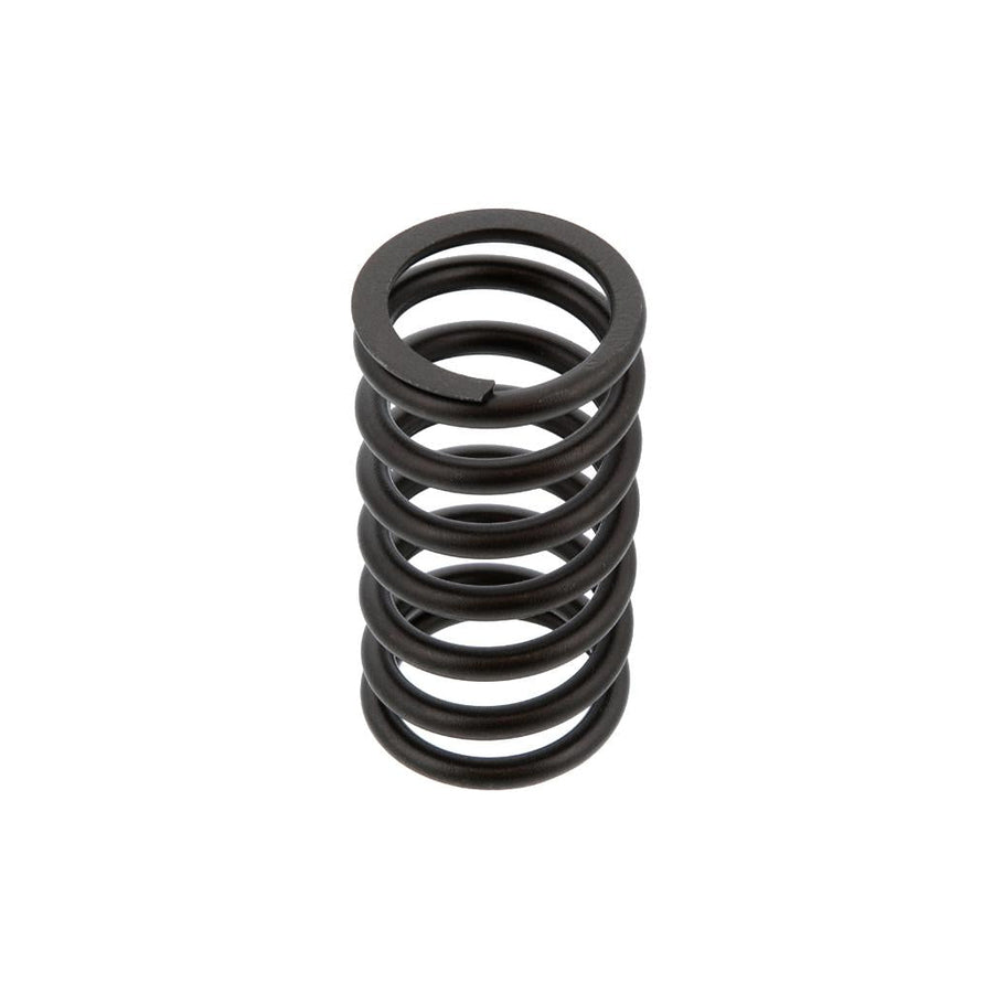 Mack VALVE SPRING