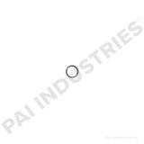 ESP-8540 Mack Inlet Spring | PAI