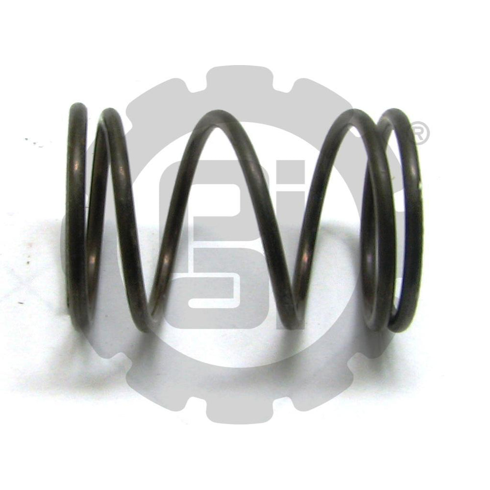 PLUNGER SPRING