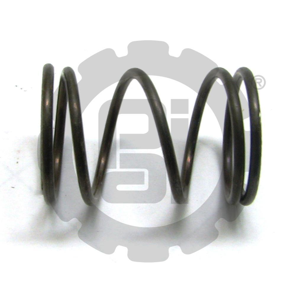 PLUNGER SPRING