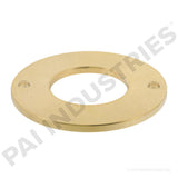 CAM BEARING