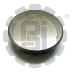 DOOR BUTTON PLUG