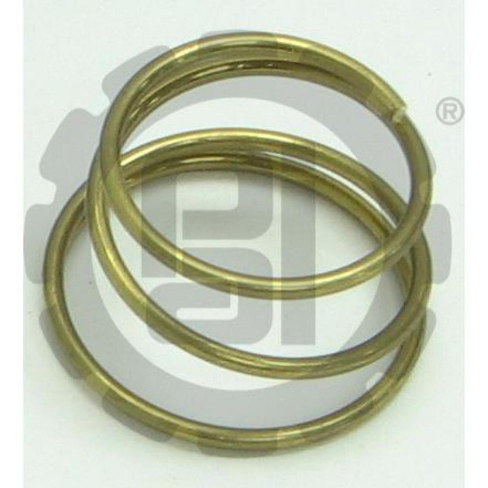 HORN SPRING
