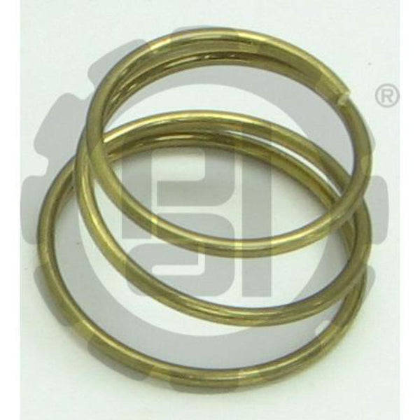 HORN SPRING