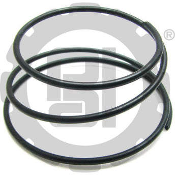 FSP-4618 Mack Dust Cover Spring | PAI