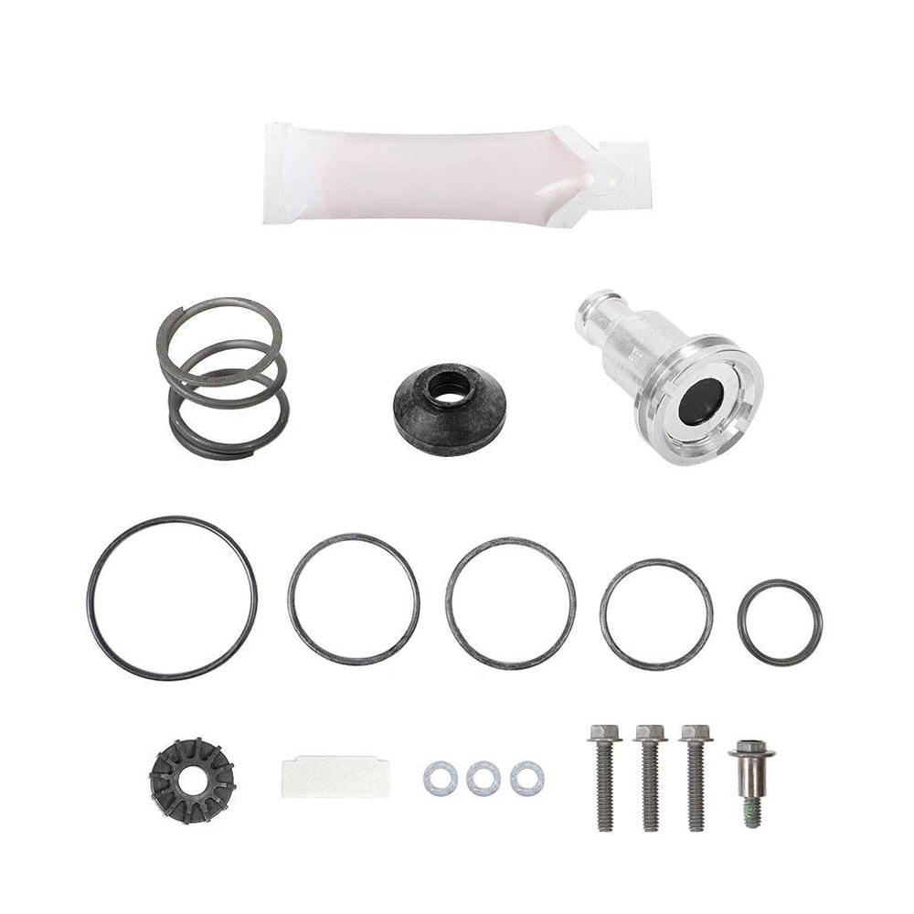 PURGE VALVE KIT